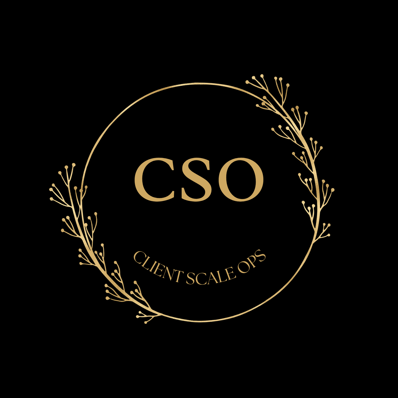 CSO Client Scale Ops